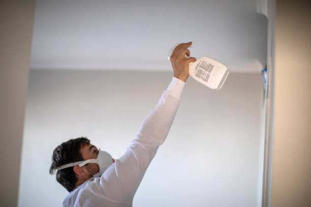 Best Local Mold Removal Service  in Starkville, MS